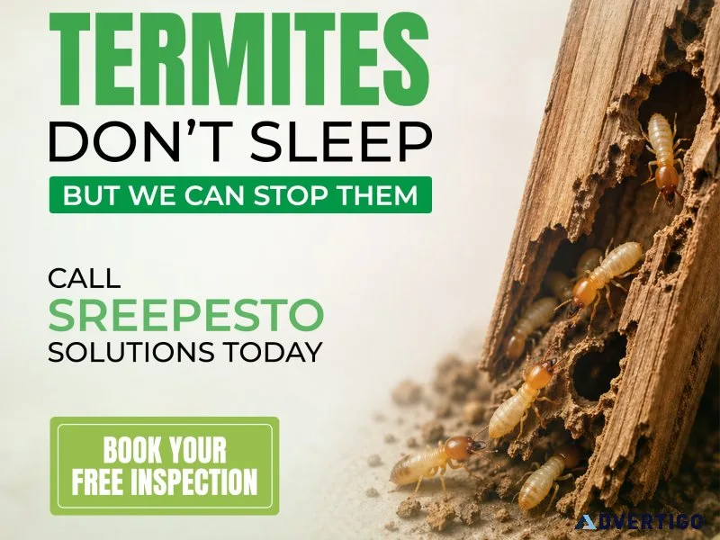 Termite control services in hyderabad