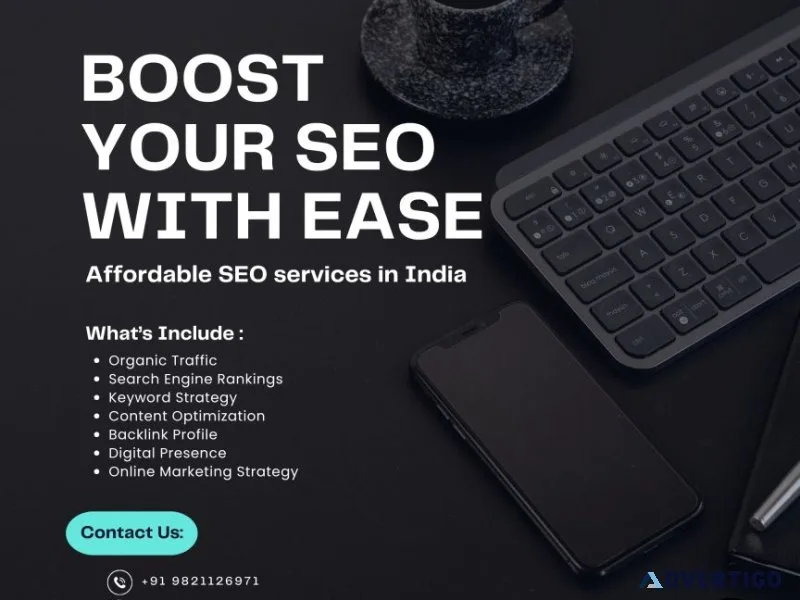 Optimizing organic search visibility for competitive Delhi NCR