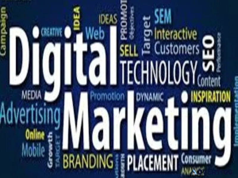 Best digital marketing institute in rohini advanced digital m