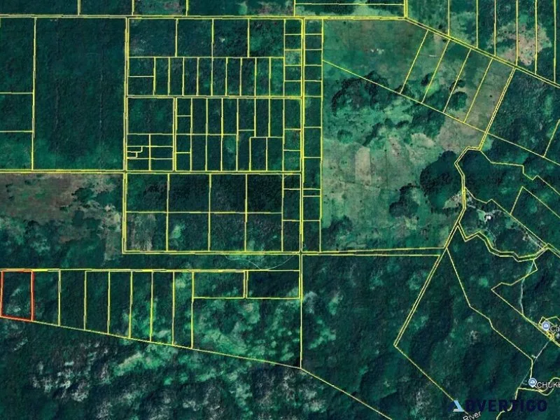 25 acres agriculture land franks eddy belize