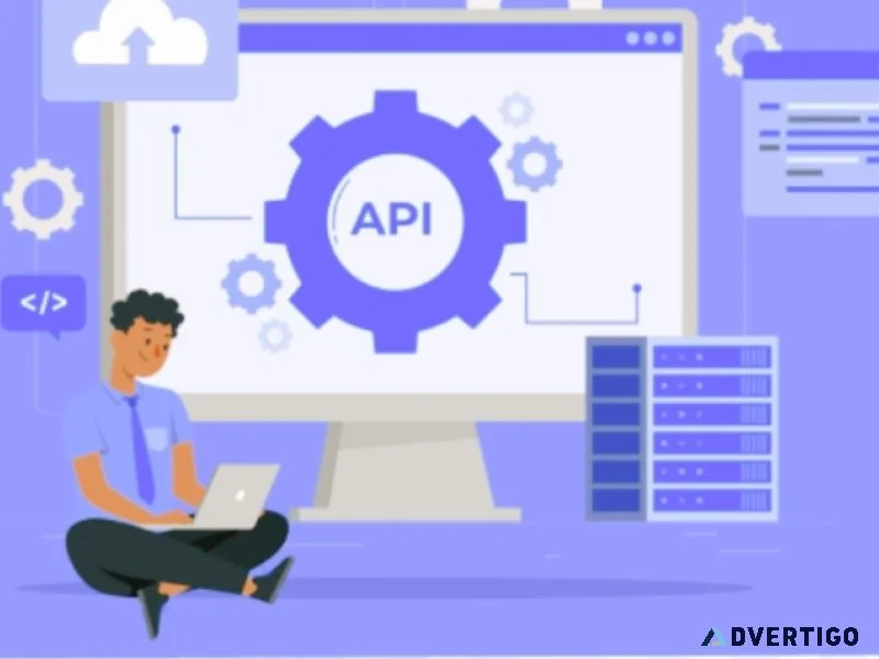 Best gst api provider in india