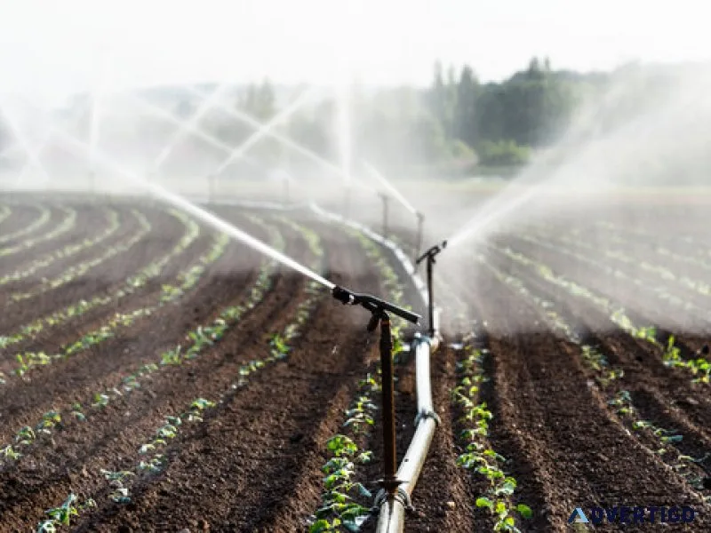 Affordable sprinklers winterization services taylor
