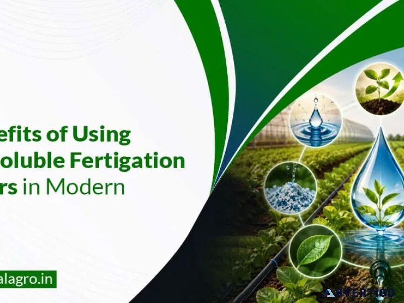 Fertigation fertilizers supplier in vadodara imperialagro
