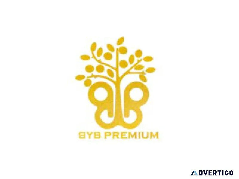 Byb premium logo