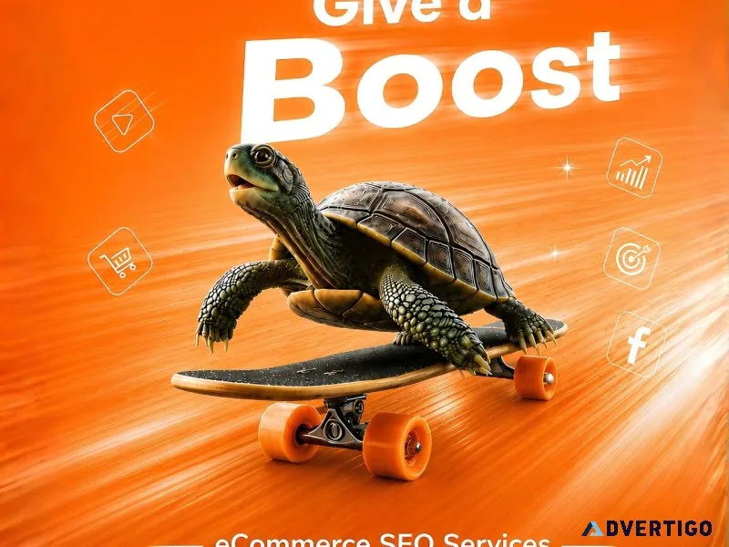 Ecommerce seo services in india grow faster sell more with y