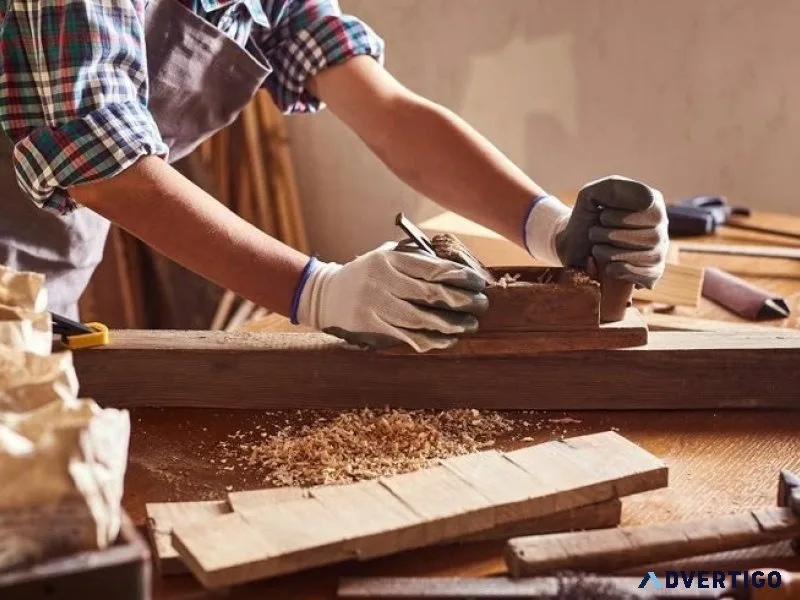 Carpenter service in rohini kaarigari living for professional