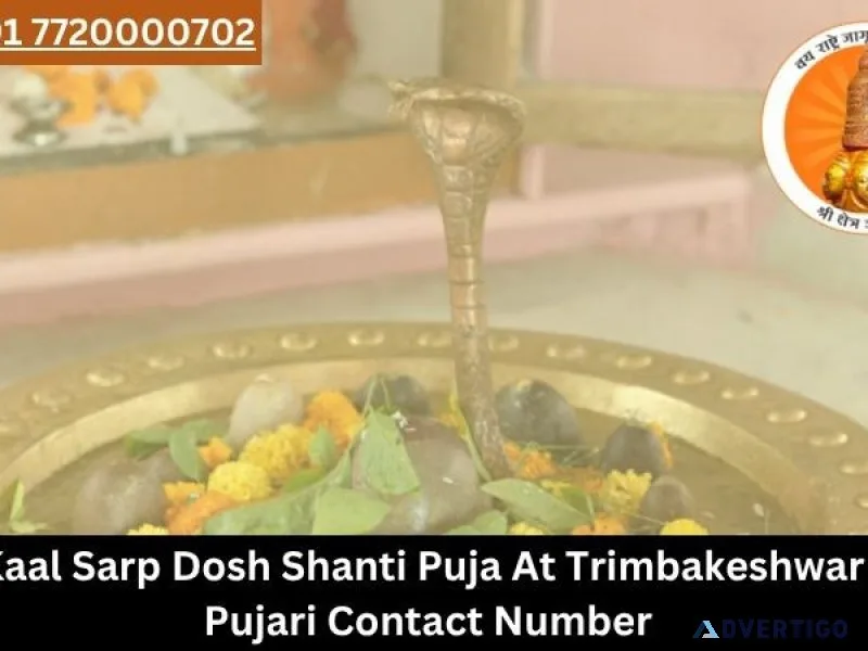 Kaal sarp dosh shanti puja at trimbakeshwar pujari contact nu