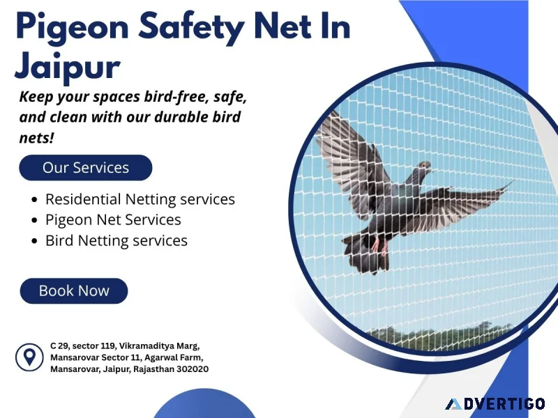 Pigeon safety net in jaipur shield