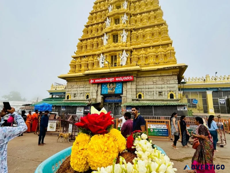 The best mysore tour packages for a memorable trip