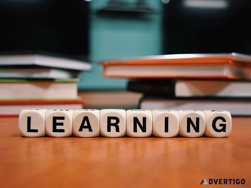 Diploma in elementary education at vidya university meerut