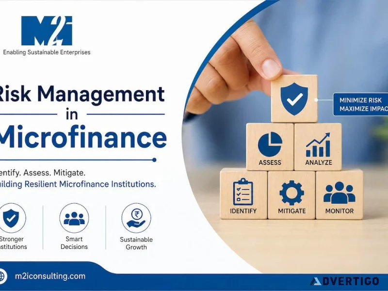 Risk management solutions for microfinance organizations