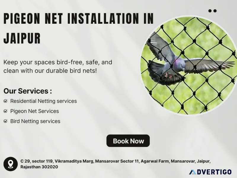 Pigeon net installation in jaipur safe view