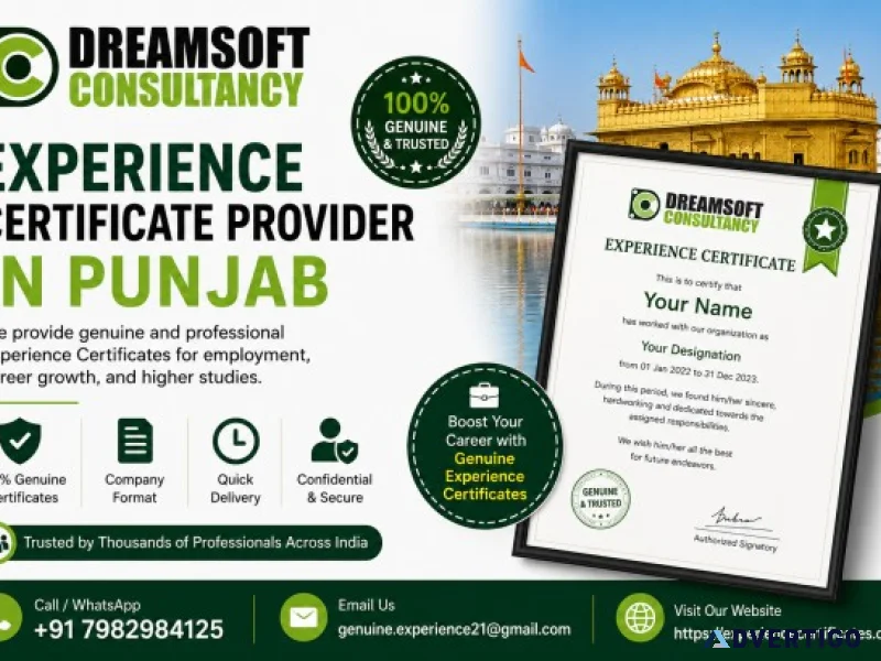 Trusted career documentation provider in punjab