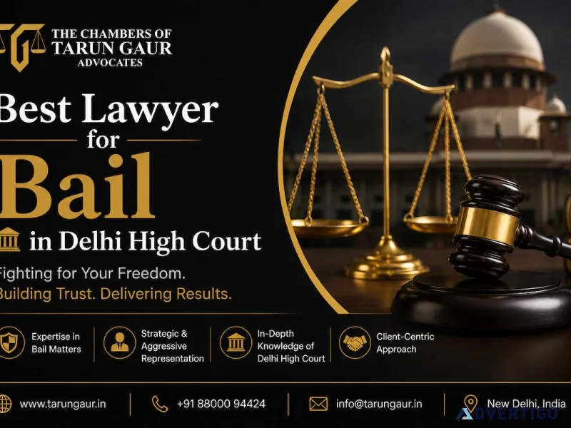 Dedicated bail lawyer for delhi high court proceedings