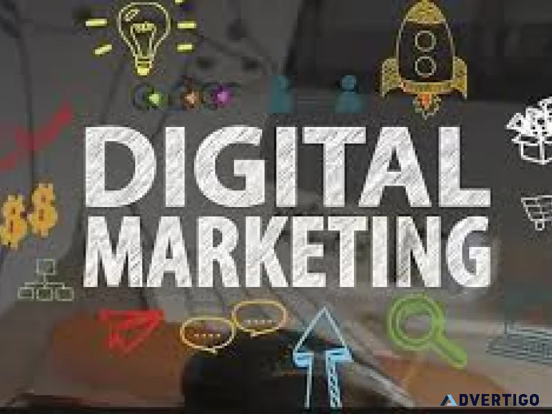 Affordable seo services in delhi ncr for small growing busines