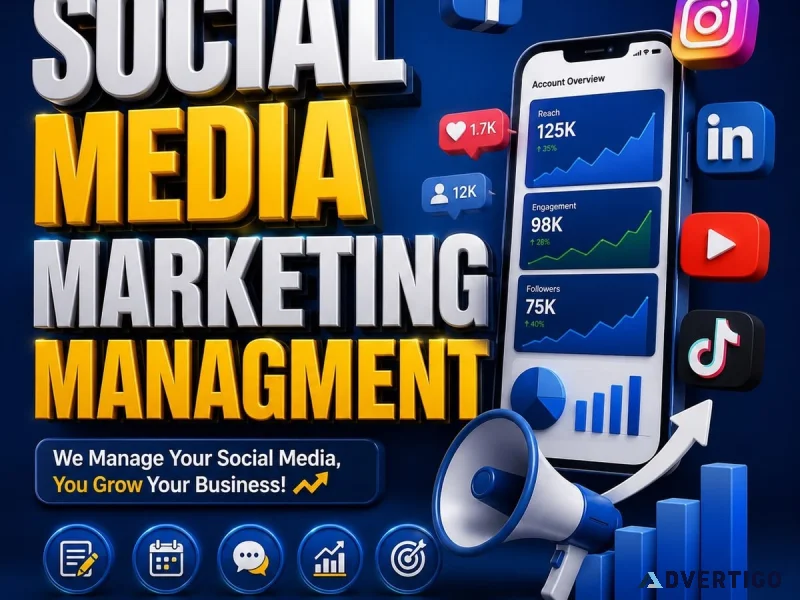 Ssj developer website development seo agency chandigarh