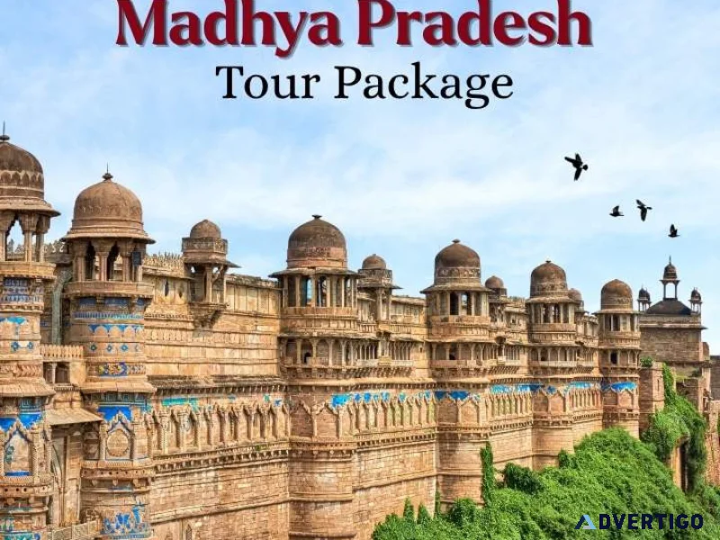 Madhya pradesh tour package