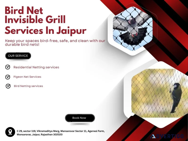 Pigeon net service you can trust