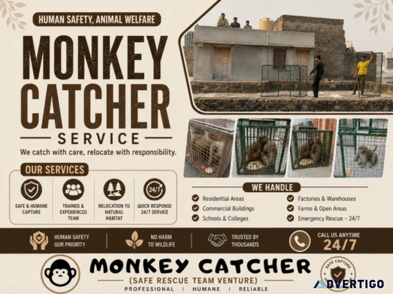 Animal rescue service in jaipur 2 bandar pakde raja park mein