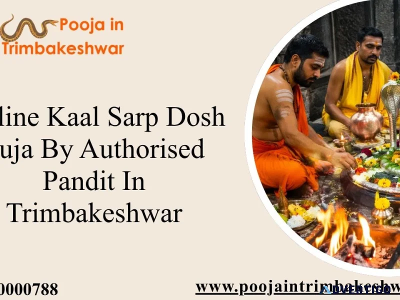 Online kaal sarp dosh puja by authorised pandit in trimbakeshwar