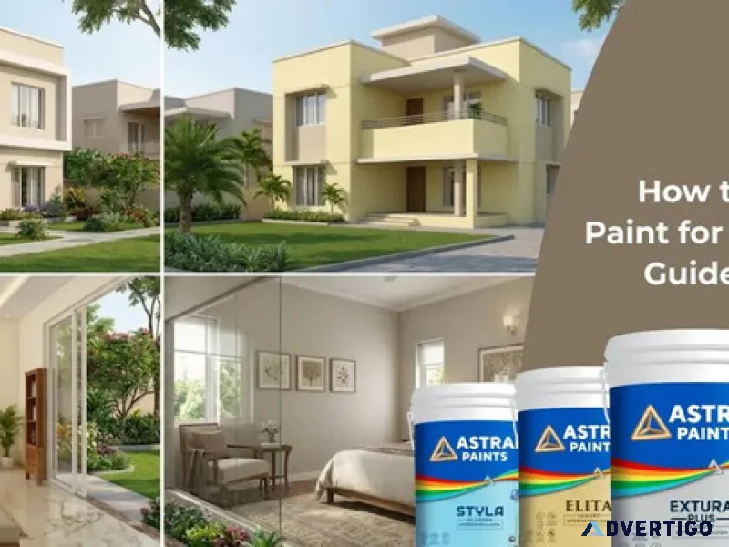 How to choose the best paint for walls a complete guide