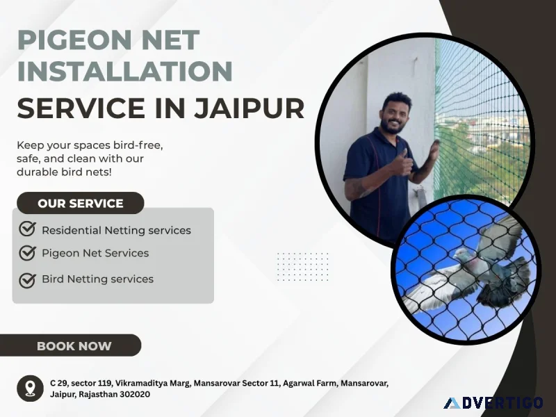 Quality pigeon net installation jaipur