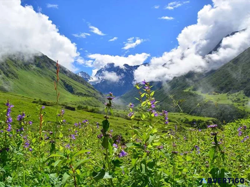 Valley of flowers from haridwar