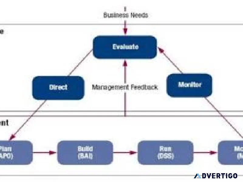 Enterprise it governance compliance cobit consulting 