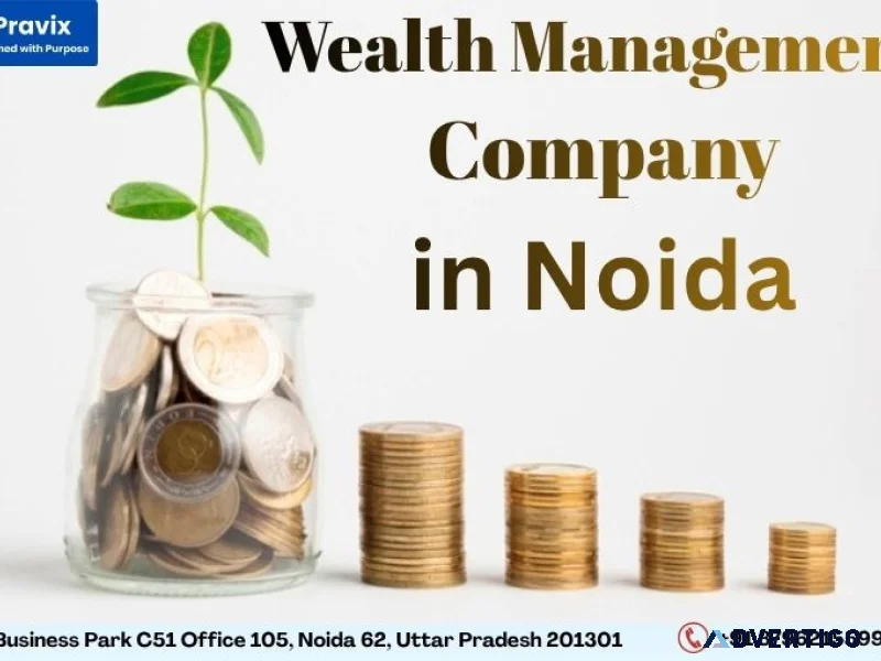 Wealth management company in noida pravix for smart investment