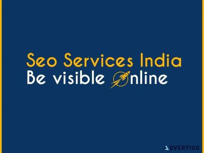 Professional seo agency india delivering measurable online resul