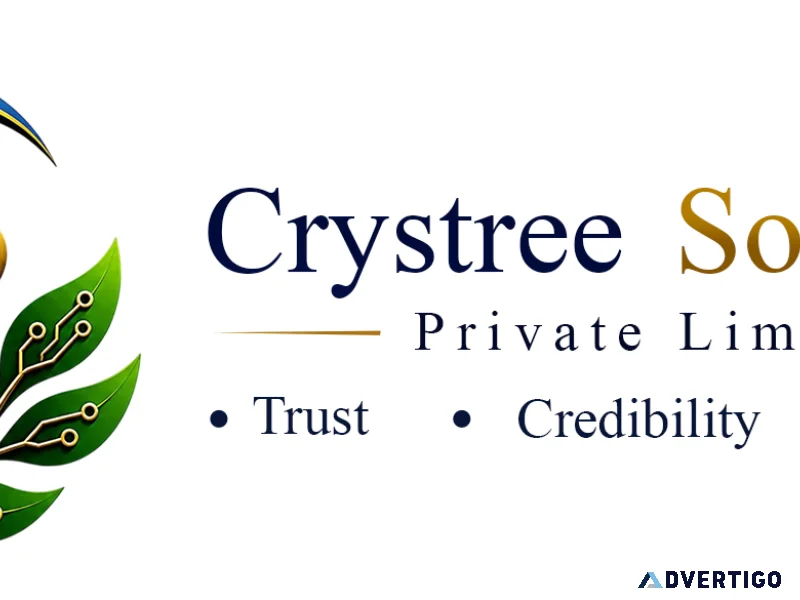 Website development company in trichy