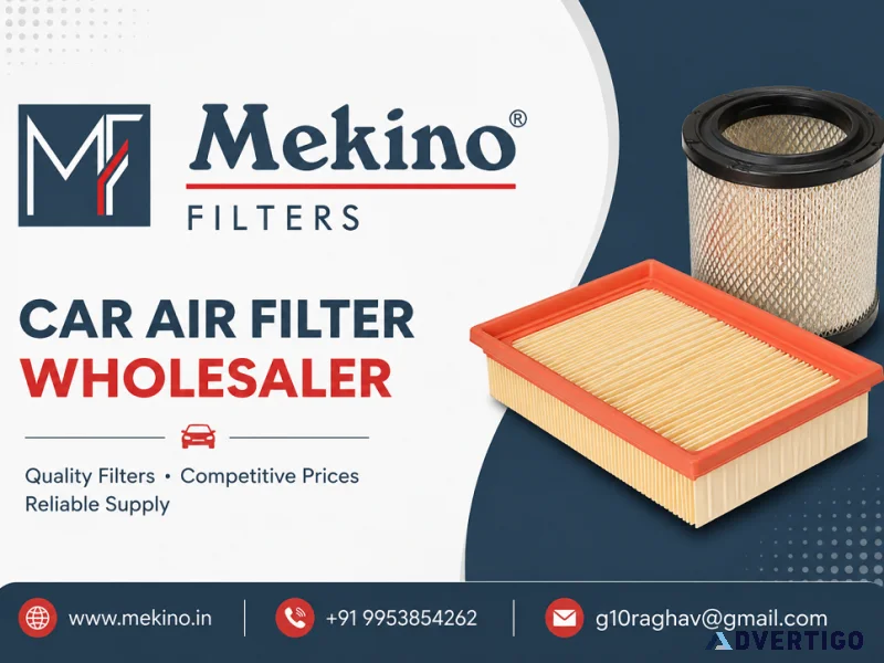 Need a reliable car air filter wholesaler trust mekino