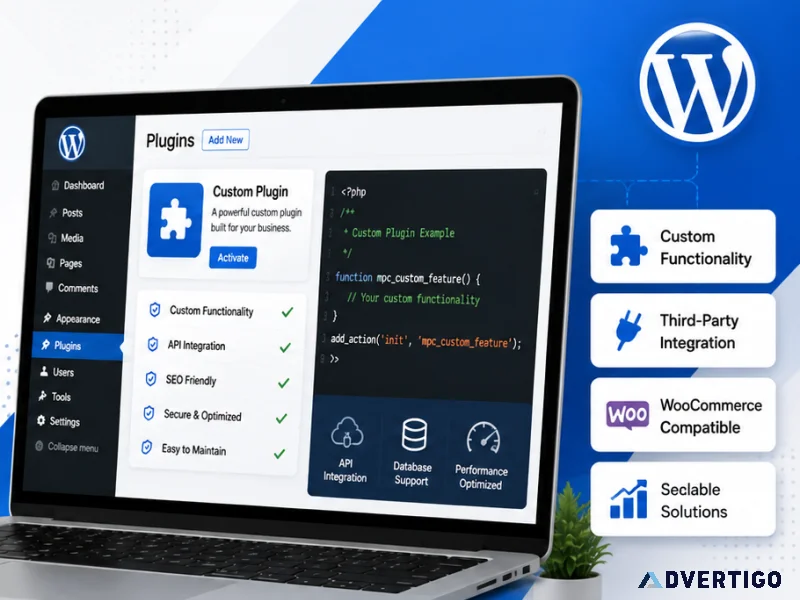 Professional custom plugin development solutions