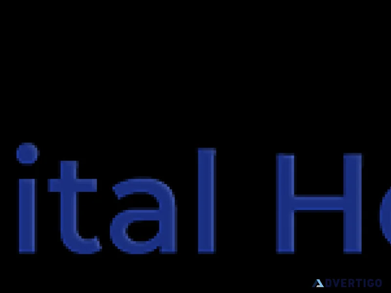 Custom real estate website development services in lucknow