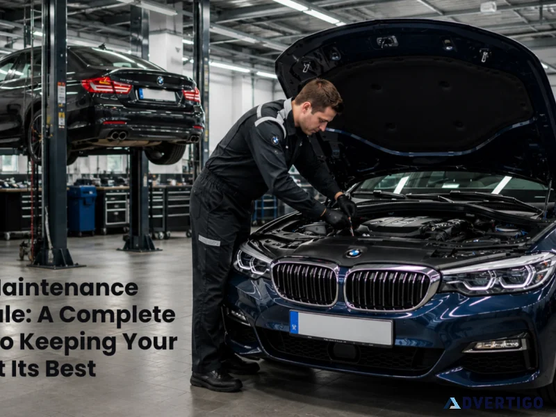 Wilmington nc auto repair at east coast euro werks