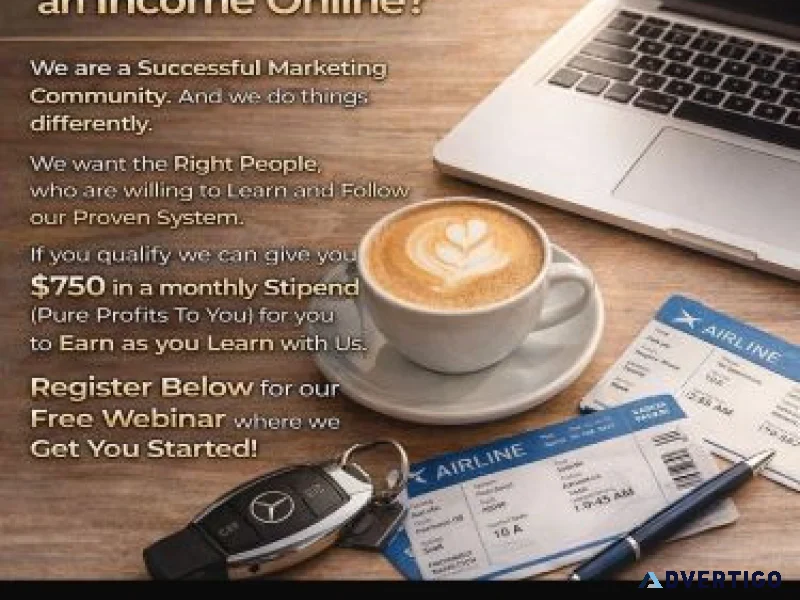 Website business program