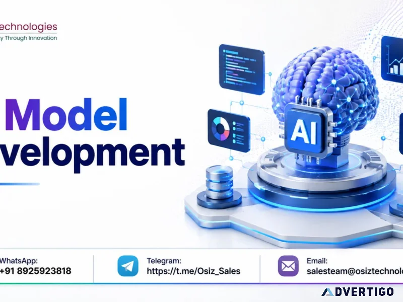Need ai model development get 30 off now osiz