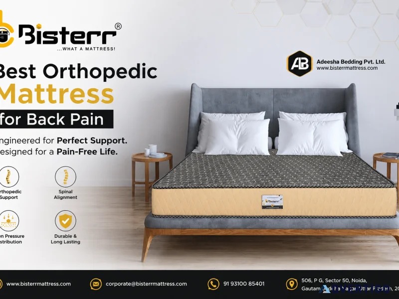Best orthopedic mattress for back pain bister mattress