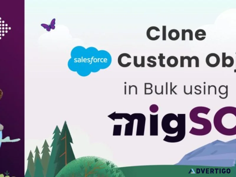 Clone salesforce objects migso