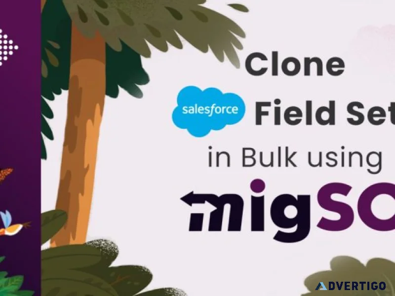 Clone salesforce fields easily with migso native salesforce me