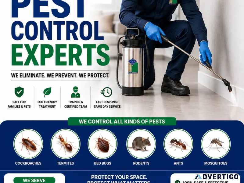 Professional pest control in abu dhabi
