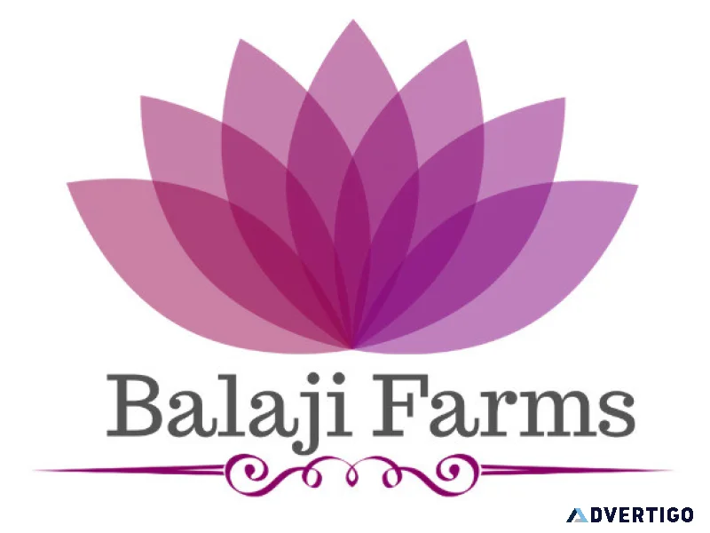 Banquet hall in patna wedding venue best banquet hall