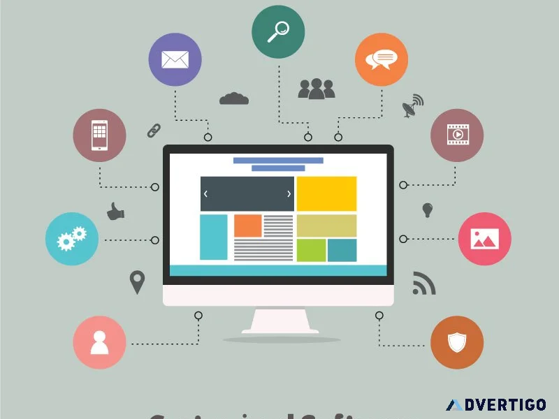 Customized software development