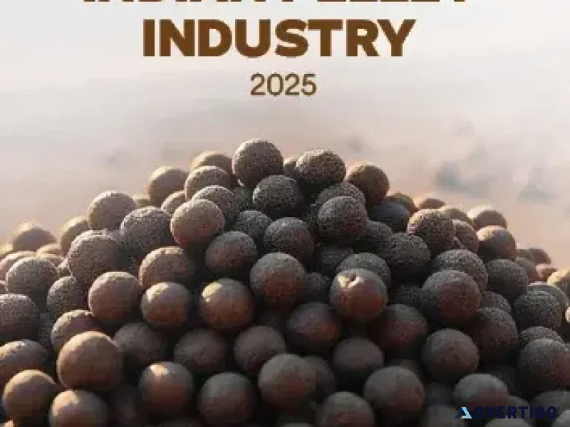 Report on indian pellet industry 2025