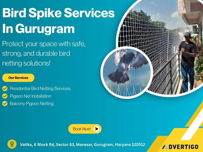 Bird spike service in gurugram for homes