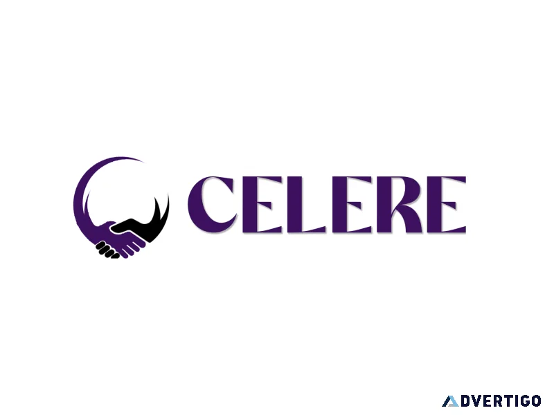 Celere services best digital marketing company in india