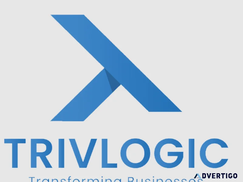 Digital marketing web software development company trivlogi