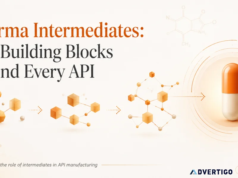 Understanding pharmaceutical ingredients and their role in drug