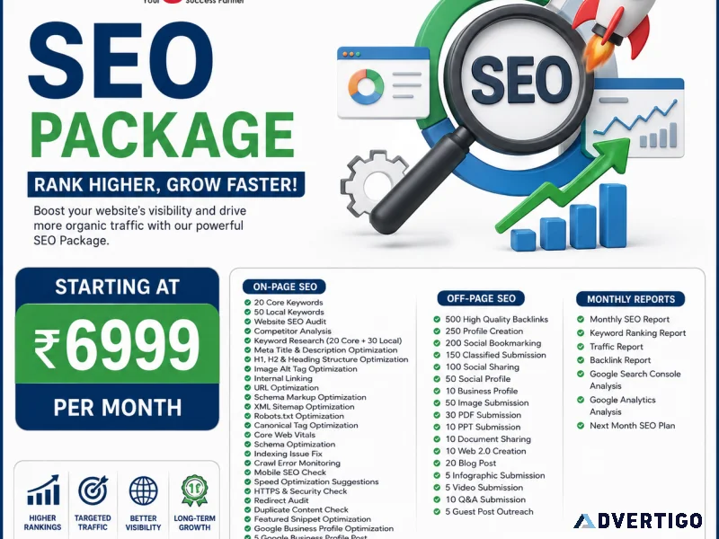 Professional seo services seo package 6999