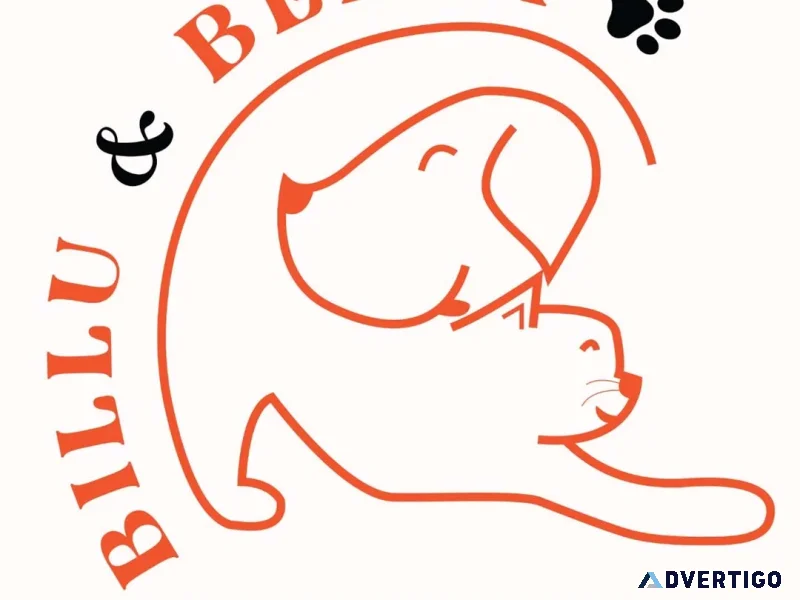 Billu and bella
